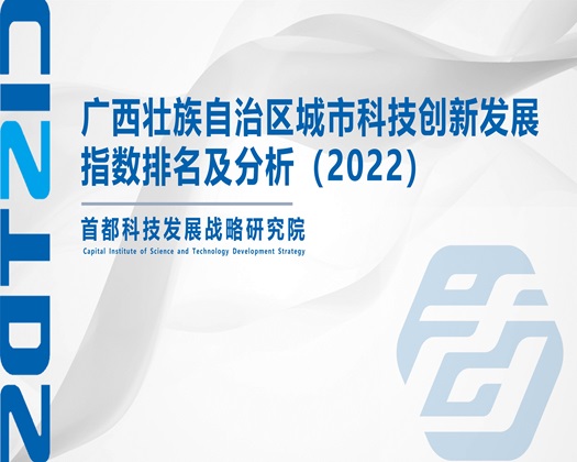 草逼你视频【成果发布】广西壮族自治区城市科技创新发展指数排名及分析（2022）